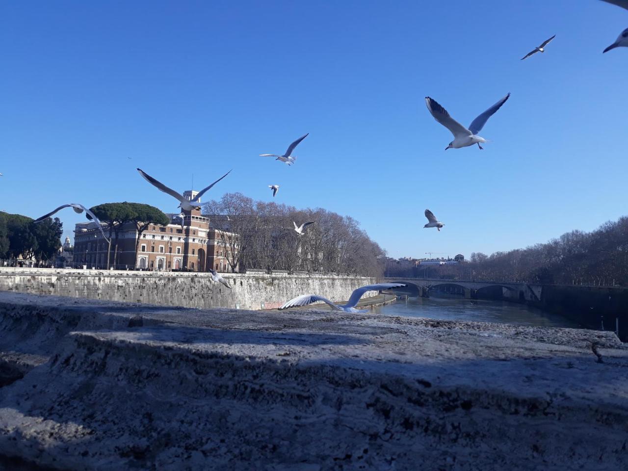 Lungotevere Collection 2*